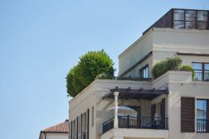 Roof Patio With Plants