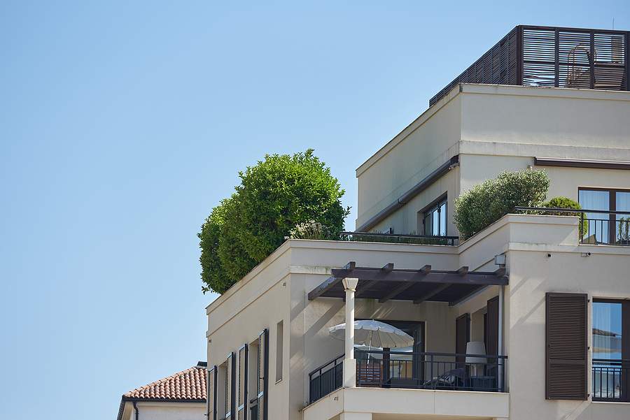 Roof Patio With Plants